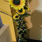 Sunflower Stay