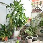 Siddhivinayak Temple Guest House