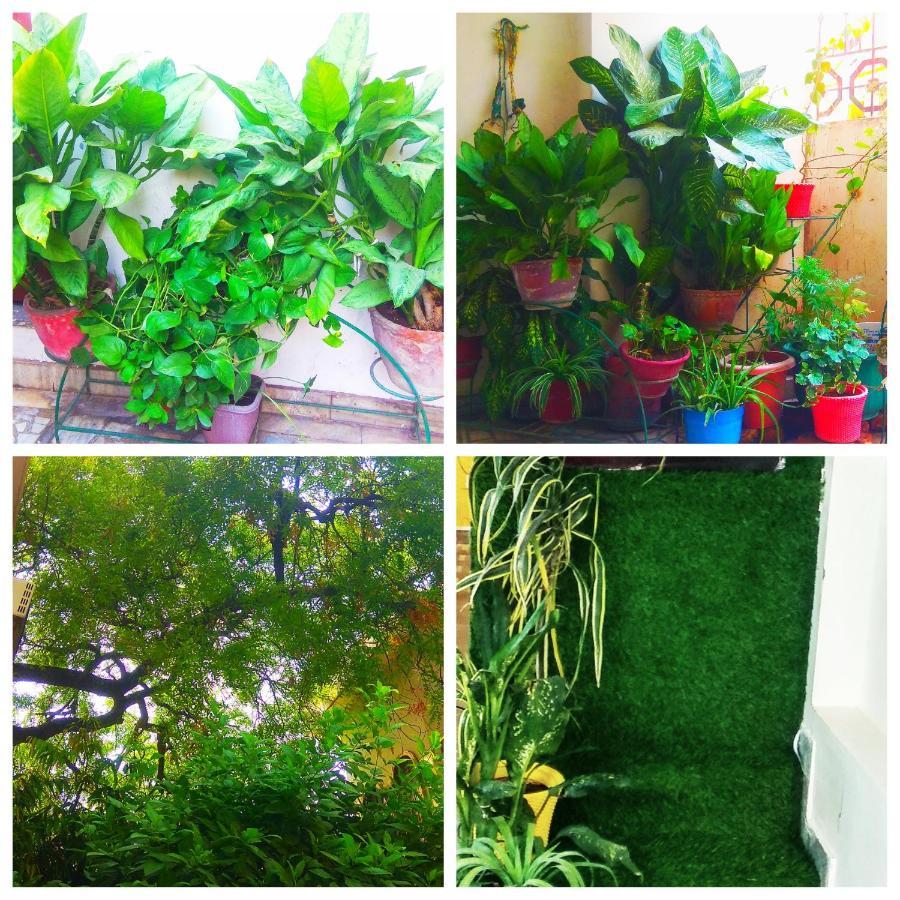 Siddhivinayak Temple Guest House
