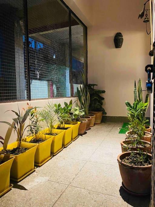 Cheerful 4bedrooms Row House