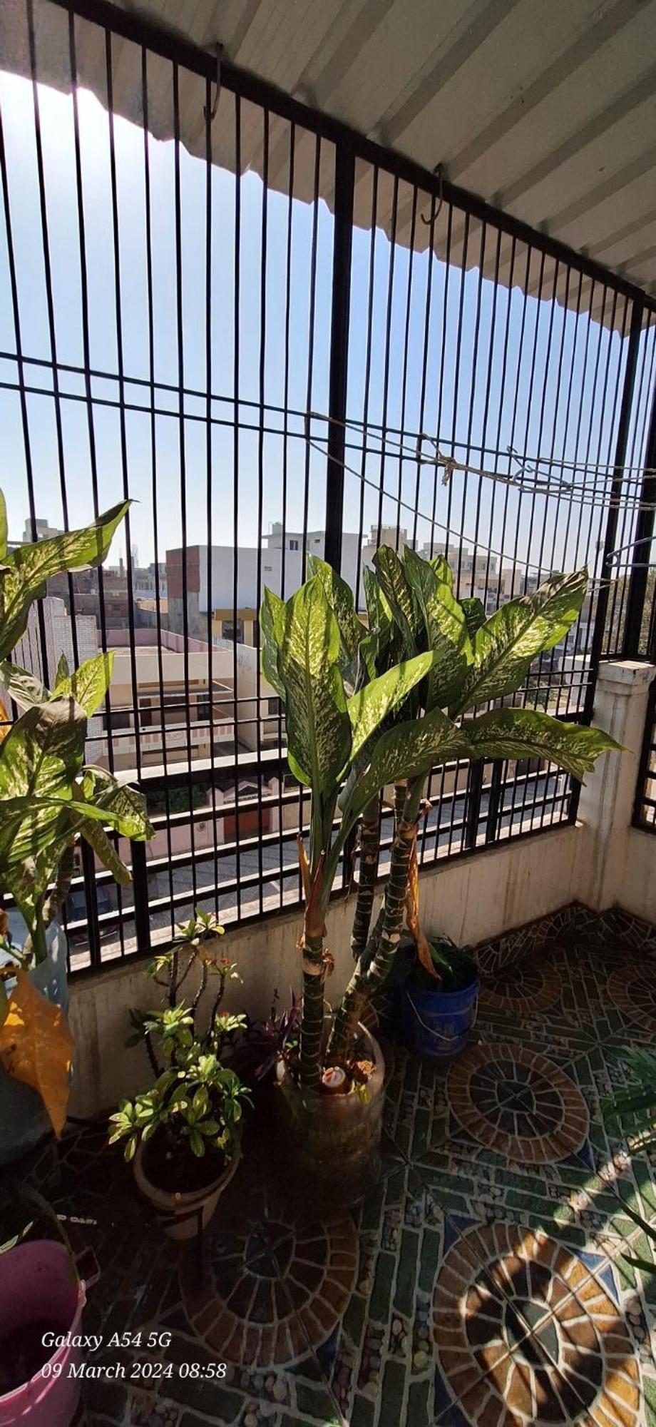 Veera Guest house Varanasi
