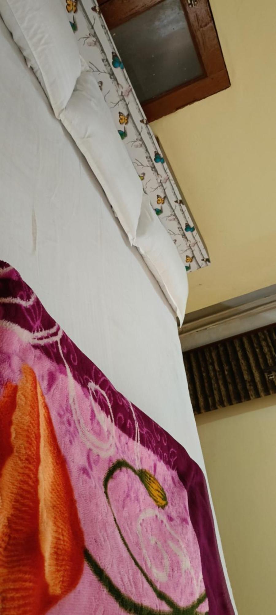 Mandakini P. Guest house