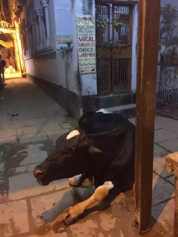 Paradise * Varanasi