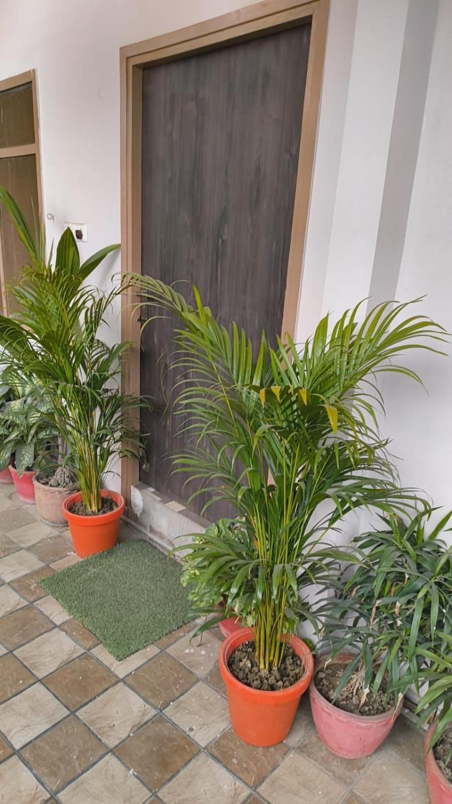 Banaras Homestay Varanasi