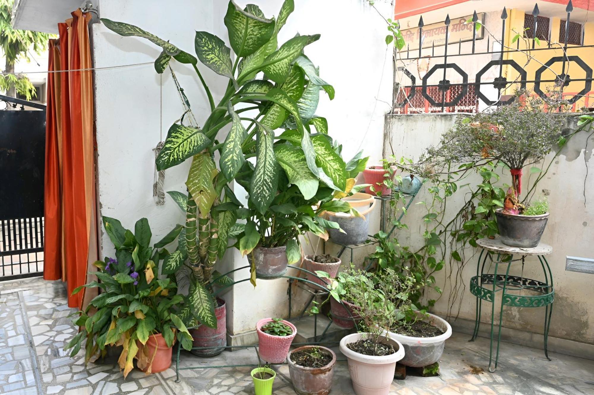 Guest house Siddhivinayak Temple Guest House *