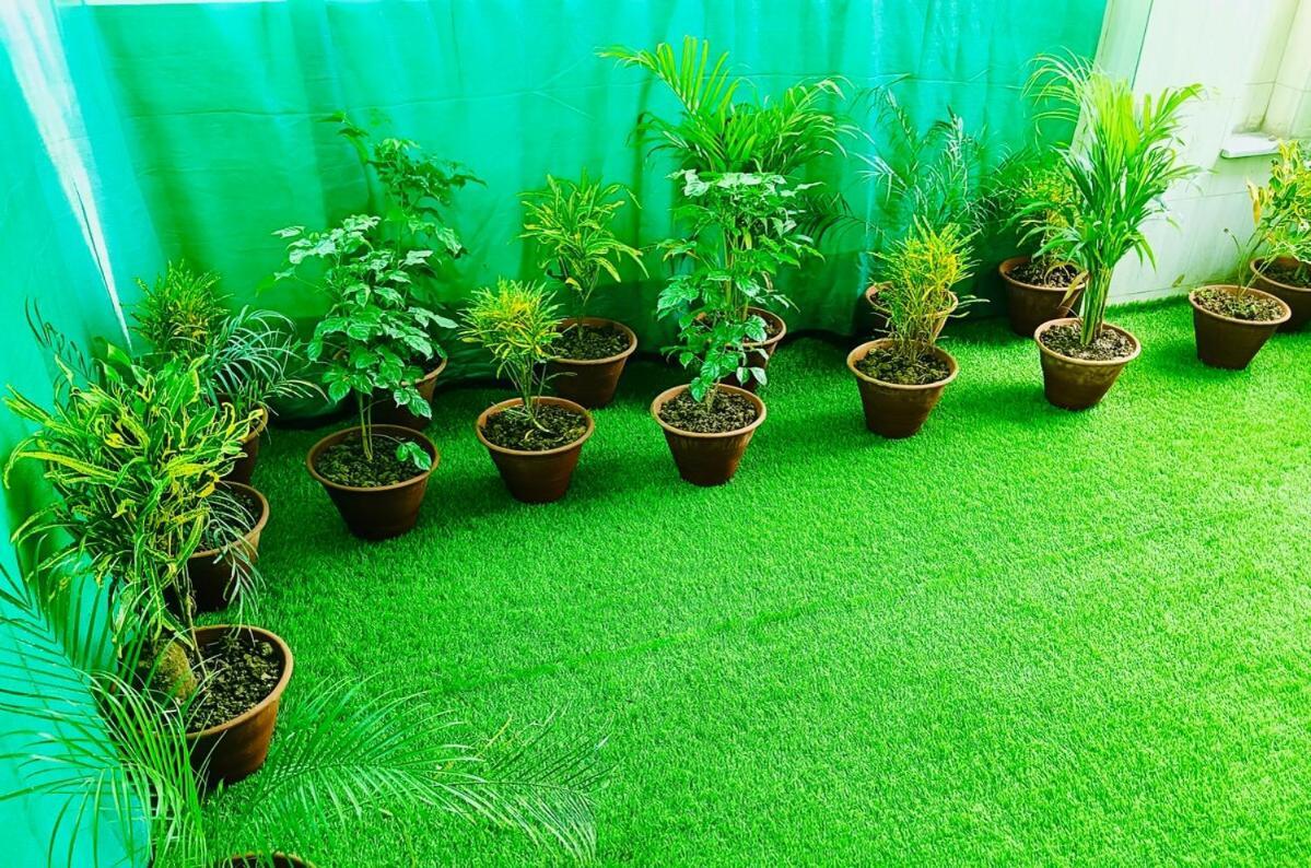 Kashi With Globegliders Bed & Breakfast Varanasi