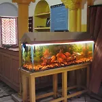 Shivakashi Guest House
