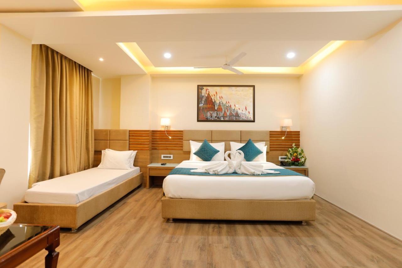 Dolphin Grand