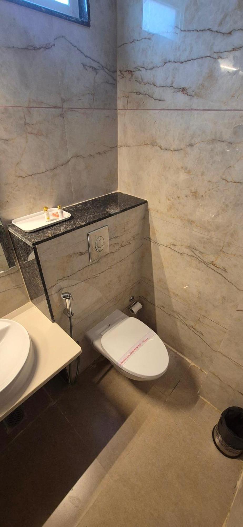 Vishwam Residency 3*