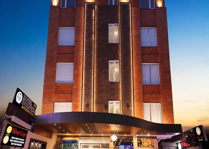 Hotel Dolphin International