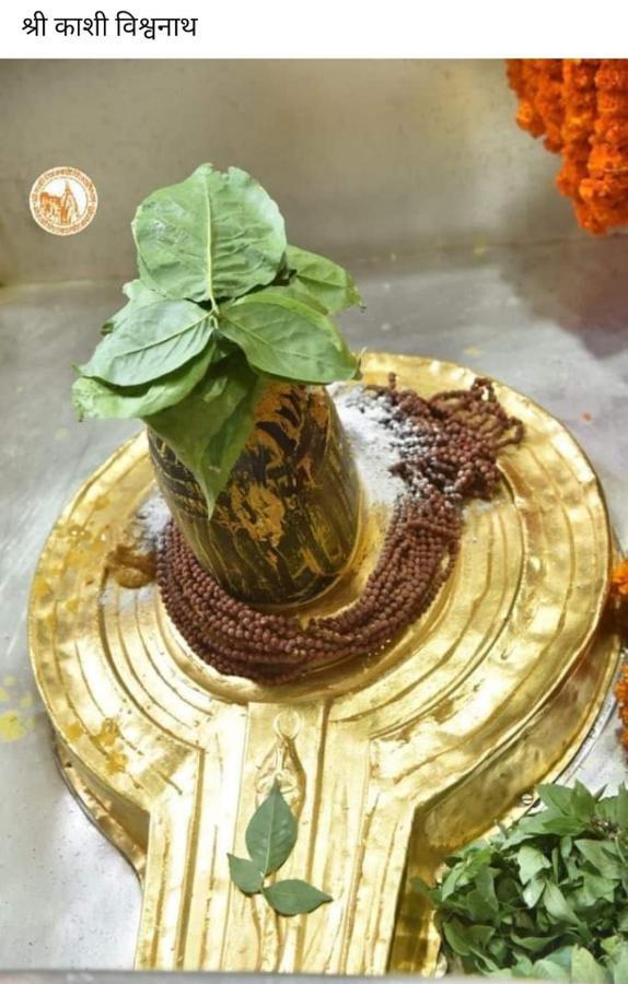 Welcome P.g. House Apartment Varanasi