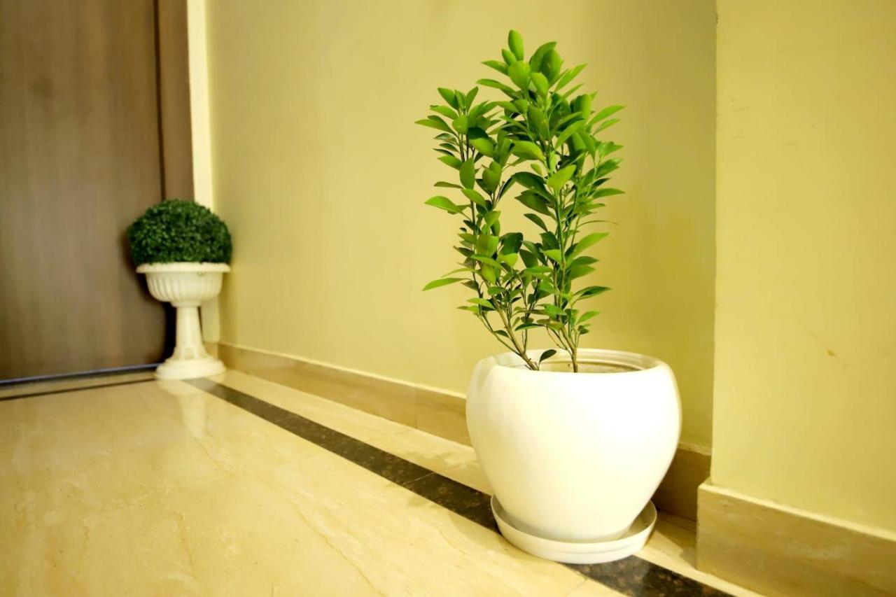 Blue Star Hotel 3*