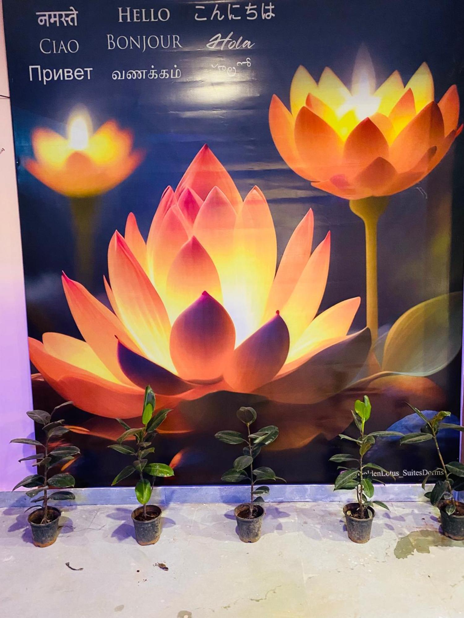 Golden Lotus 4* Varanasi