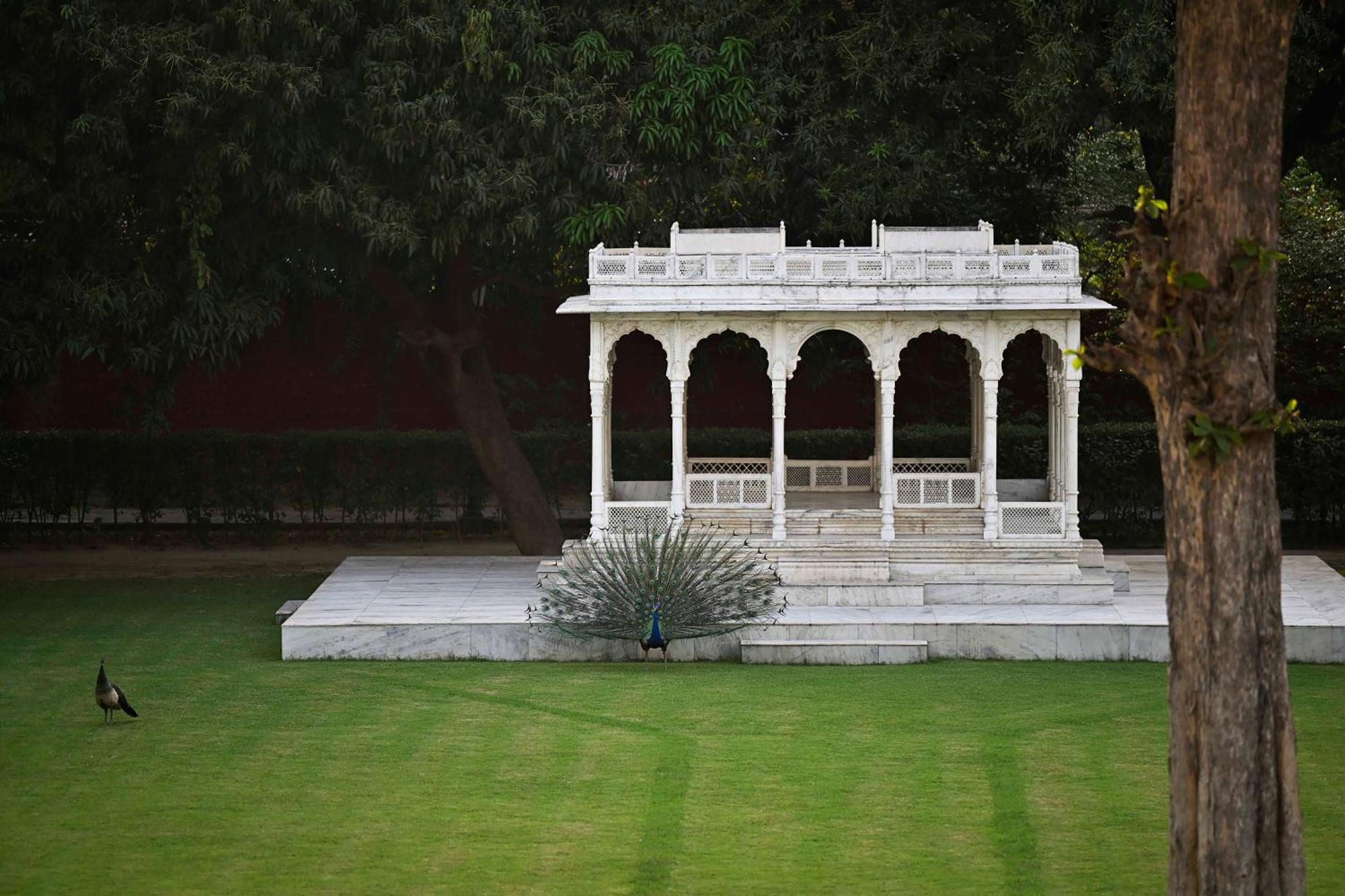 Taj Nadesar Palace Hotel 5*