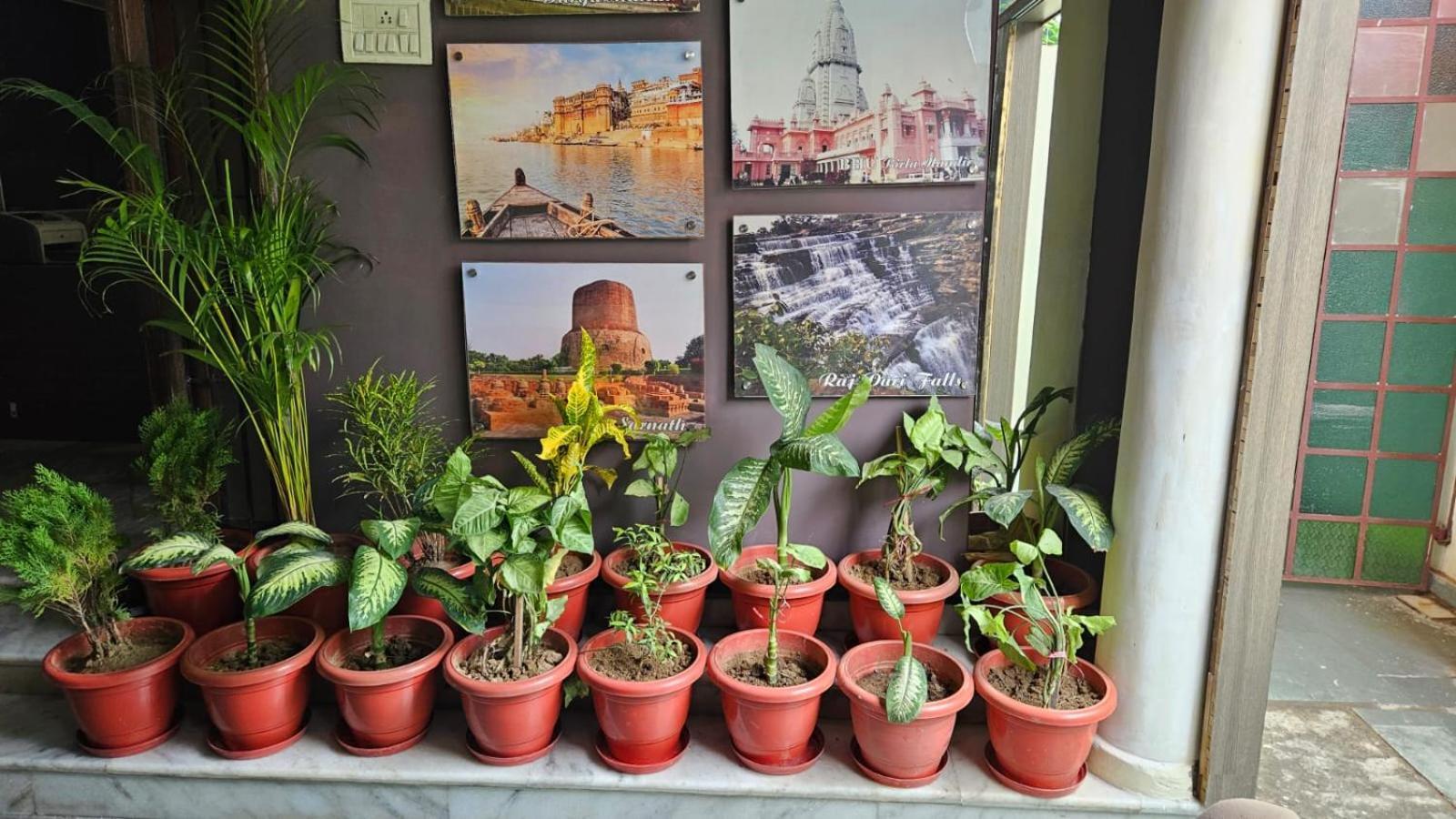 Bluebells Bed & Breakfast Varanasi